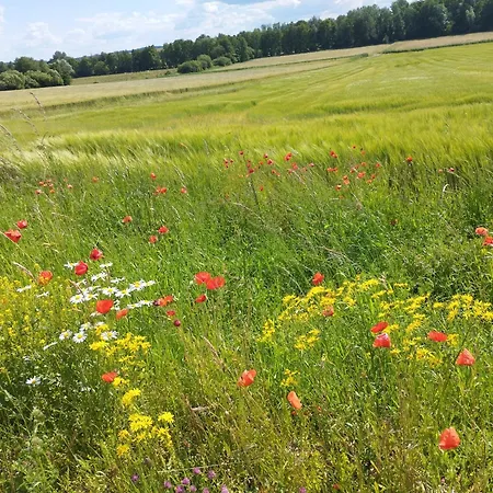Au Nid D'hirondelles Selles (Haute-Saone)