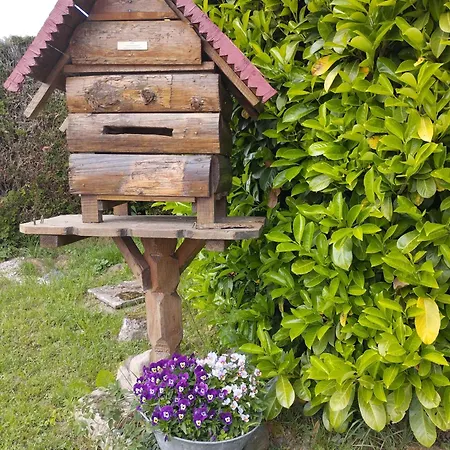 Au Nid D'hirondelles * Selles (Haute-Saone)